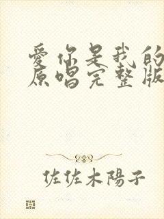 爱你是我的选择原唱完整版