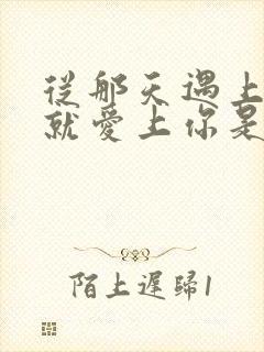 从那天遇上你我就爱上你是什么歌