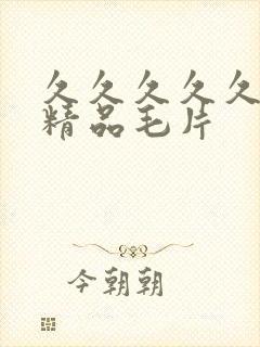 久久久久久国产精品毛片