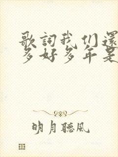 歌词我们还有好多好多年是什么歌