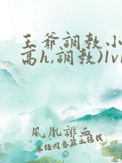 王爷调教小说(高h,调教)1v1