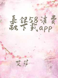 长银58消费金融下载app