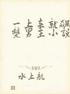 一上来就飙车的双男主小说有哪些名字