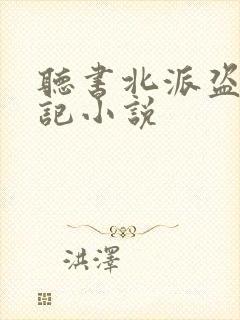 听书北派盗墓笔记小说