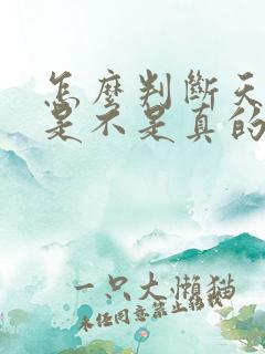 怎么判断天蝎男是不是真的喜欢你