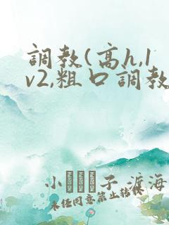 调教(高h,1v2,粗口调教)