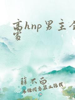 高hnp男主全处
