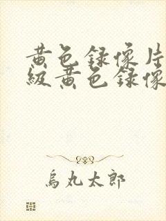 黄色录像片,一级黄色录像片