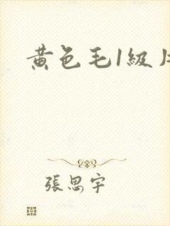 黄色毛1级片