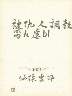 被仇人调教成禁脔h虐bl