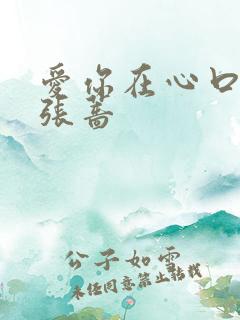 爱你在心口难开张蔷