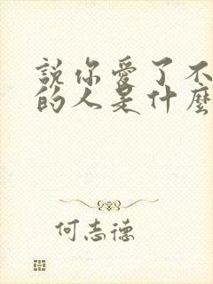 说你爱了不该爱的人是什么歌