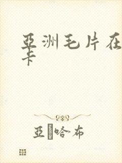 亚洲毛片在线不卡