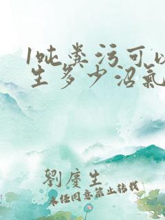 1吨粪污可以产生多少沼气