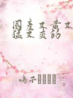 国产又黄又粗又猛又爽的