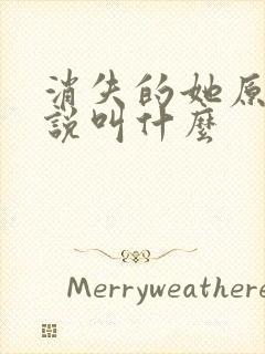 消失的她原著小说叫什么