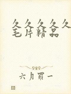 久久久久久久久毛片精品