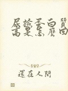 尿检蛋白质含量高是怎么回事