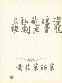 《私藏浪漫》电视剧免费观看全集