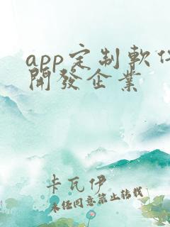 app定制软件开发企业