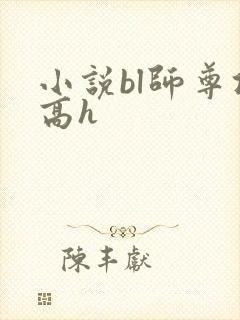 小说bl师尊攻高h