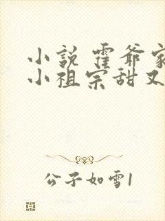 小说 霍爷家的小祖宗甜又野