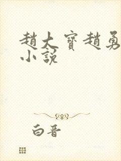 赵大宝赵勇苏媚小说