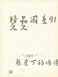 精品国产91久久久