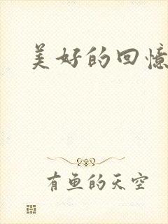 美好的回忆.