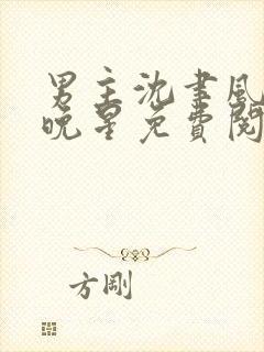 男主沈聿风女主晚星免费阅读