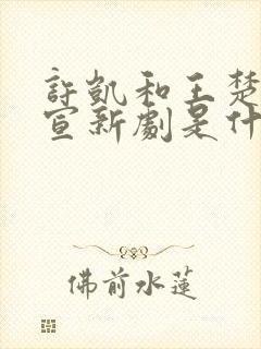 许凯和王楚然官宣新剧是什么