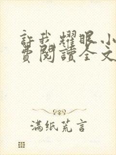 许我耀眼小说免费阅读全文最新章节