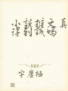 小说推文真的赚得到钱吗