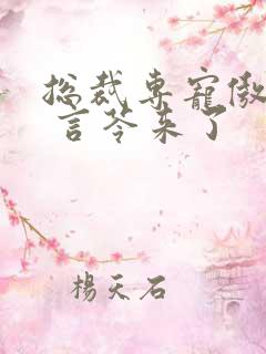 总裁专宠傲娇妻 言苓来了