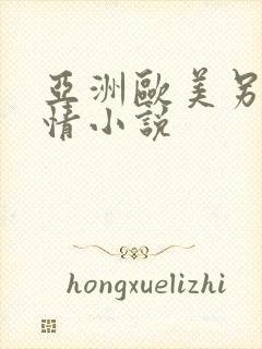 亚洲欧美另类激情小说