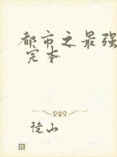 都市之最强狂兵 完本