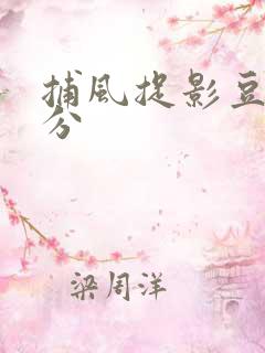 捕风捉影豆瓣评分