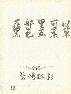 在哪里可以观看黑色五叶草:魔法帝之剑