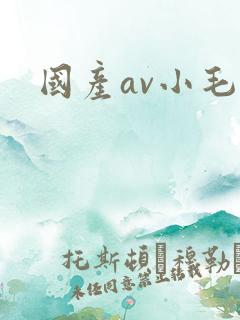 国产av小毛片