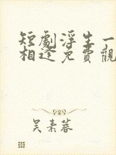 短剧浮生一别又相逢免费观看