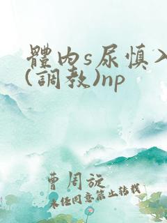 体内s尿慎入h(调教)np