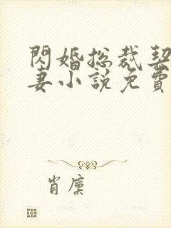 闪婚总裁契约甜妻小说免费阅读全文