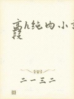 高h纯肉小说片段