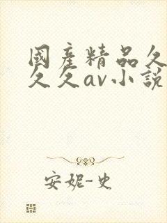 国产精品久久久久久av小说