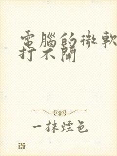 电脑的微软商店打不开