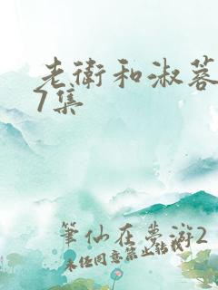 老卫和淑蓉1一7集