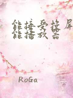 能接受投屏的万能播放器