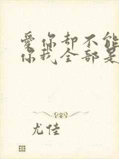 爱你却不能够给你我全部是什么歌