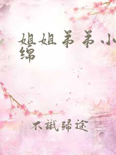 姐姐弟弟小说缠绵