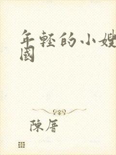 年轻的小嫂子韩国